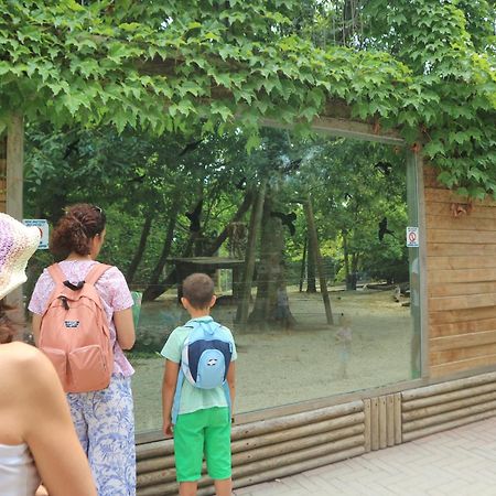 Letizia Apartamento Lignano Sabbiadoro Exterior foto